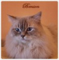 /album/benson/benson-2015-01-05-002-jpg1/